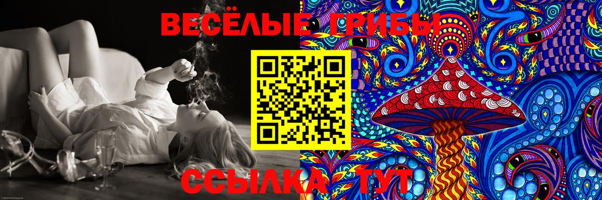 Галлюциногенные грибы GOLDEN TEACHER  Вход с VPN  Бузулук 