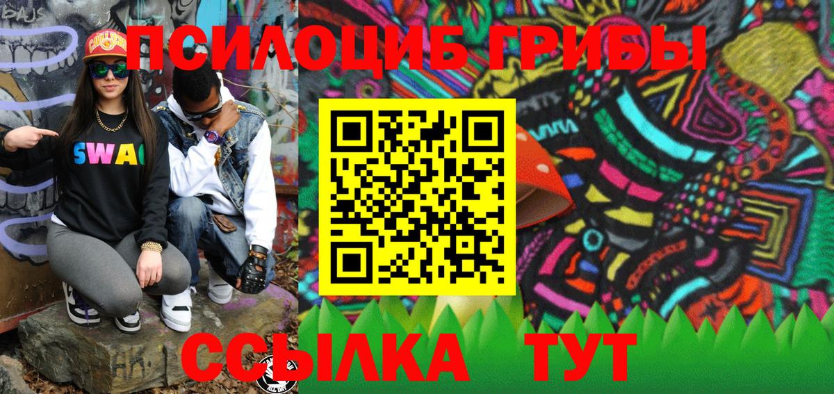 Псилоцибиновые грибы Psilocybine cubensis Бузулук
